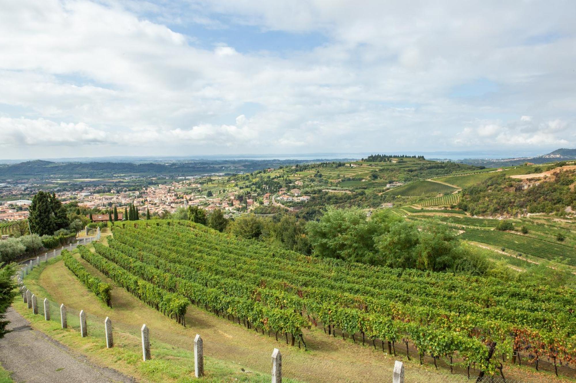 Villa San Giorgio SantʼAmbrogio di Valpolicella Eksteriør bilde